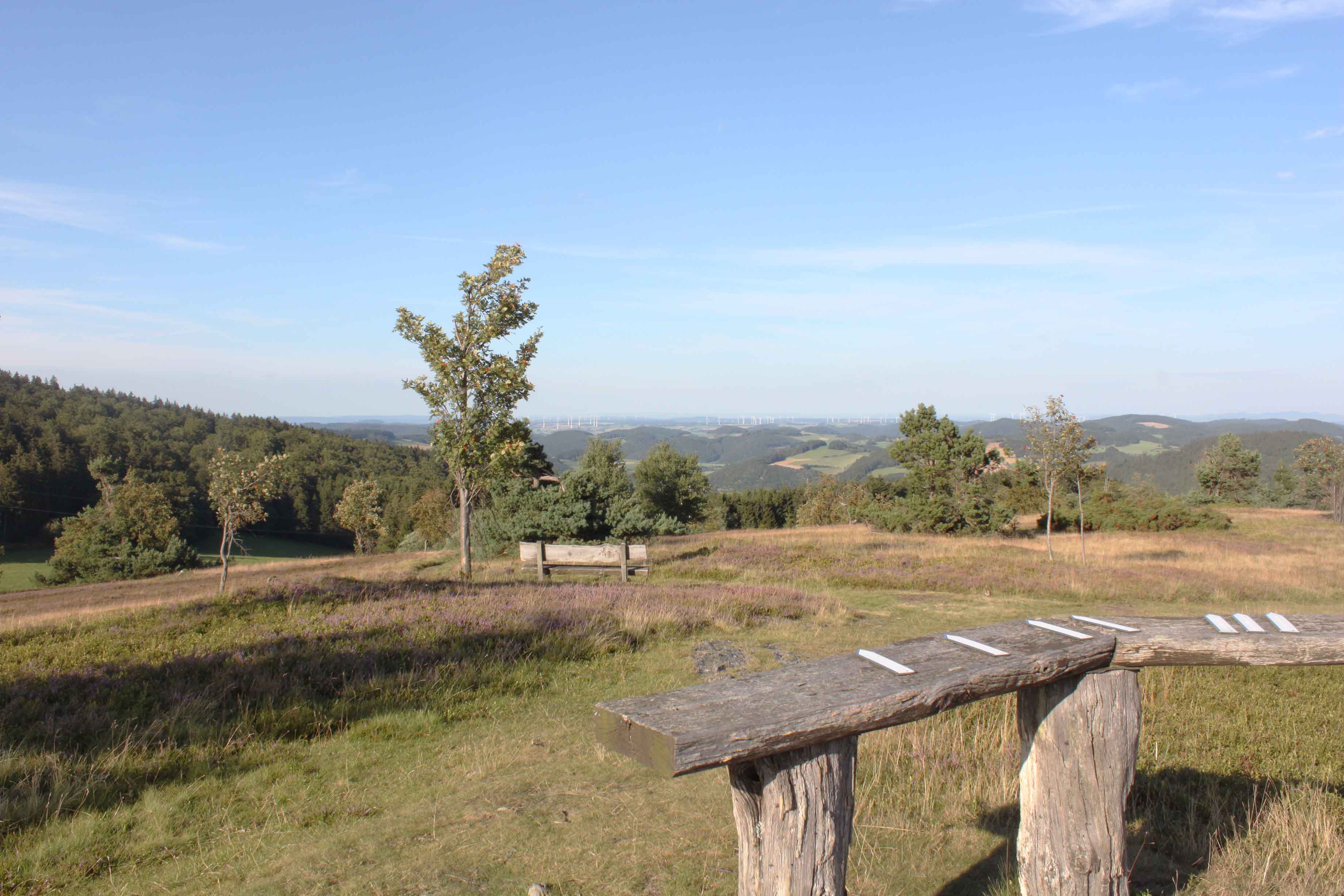 Schöner Ausblick auf einem Gipfel im Sauerland nahe Eimelrod